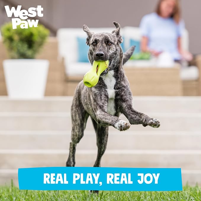 WEST PAW Qwizl Durable Zogoflex Dog Puzzle Toy for Mental Stimulation, and Enrichment - Treat Dispensing for Bully Sticks and Dental Sticks - Dishwasher Safe - Made in USA - Large - Aqua