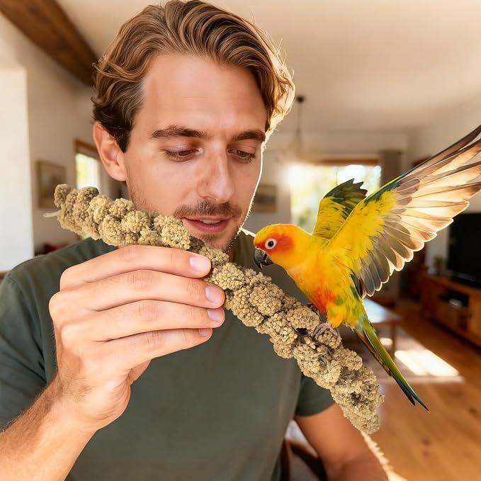 ERKOON 2.5LB Spray Millet Treat, All Natural Sun-Dried Healthy Treat Parrot Food Bird Snack for Parakeets, Lovebirds, Cockatiels, Finches, Budgies, Canaries Hamster, Bird Food Bulk