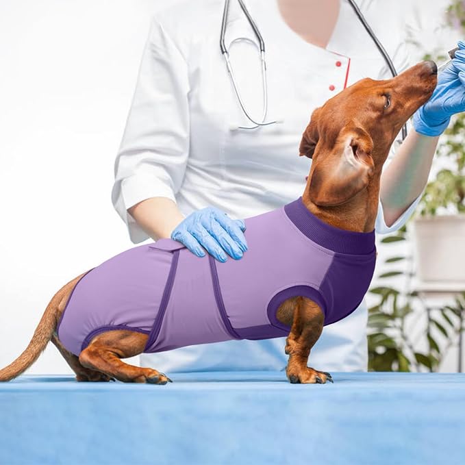 Kuoser Recovery Suit for Dogs After Surgery, Soft Dog Surgery Suit Female Male, Breathable Pet Surgical Recovery Shirt, Anti Licking Dog Onesie for Abdominal Wounds Cone Alternatives, Purple XL