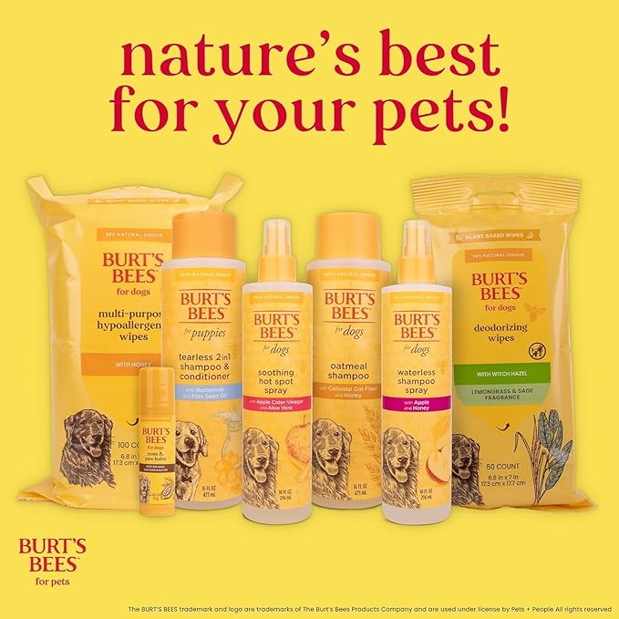 Burt's Bees for Pets Honey Multipurpose Dog Grooming Wipes, Gentle Hypoallergenic Spot Cleaning Sheets, pH Balanced Natural Origin Formula for Paws, Face and Butt, 50 Count - 3 Pack