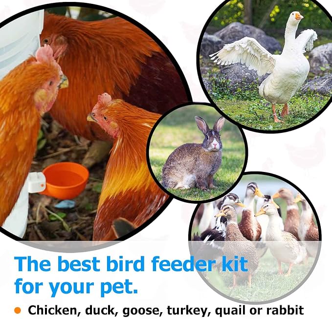 Large Automatic Chicken Waterer Cups, Chicken Water Feeder Suitable for Chicks, Duck, Goose, Turkey and Bunny, DIY Poultry Water Feeder Kit (8 Pack-Orange)