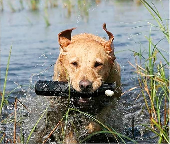 Avery ASD 2" HexaBumper Hunting Sporting Gun Dog Game Retriever Dummy | Water & Upland Mark Training Retrieval Tool | Hexagonal, Floating Design, Easy-Grip Texture, Throw Rope, Black (02702)