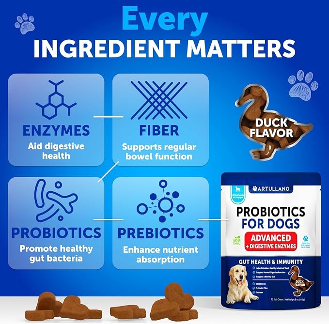 Dog UTI Treatment + Probiotic Chews Bundle - Cranberry Supplement for Bladder & Kidney Support - Probiotics & Prebiotics for Gut Health, Immunity, Yeast Balance, Reduces Diarrhea & Allergies