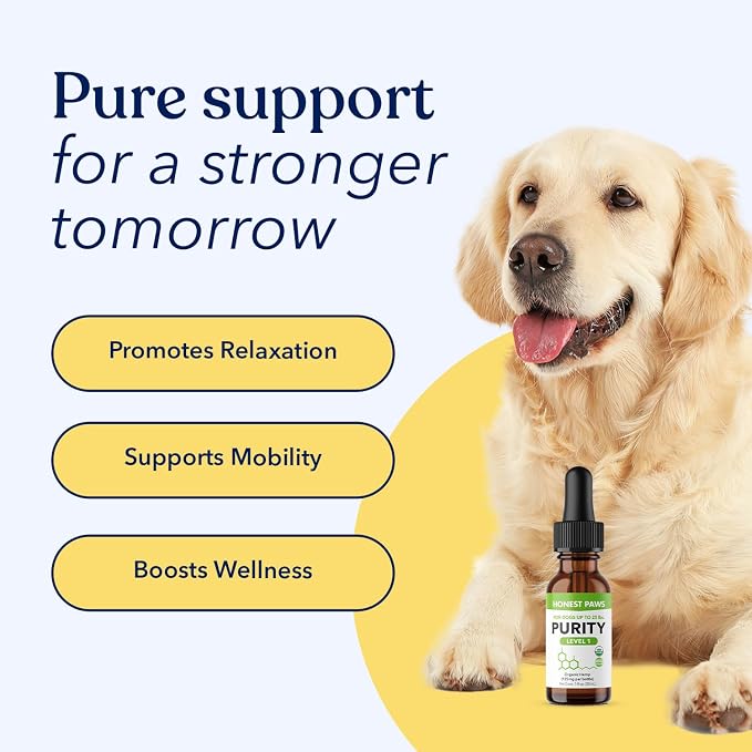 Honest Paws Hemp Oil for Dogs - Natural Hemp Seed Oil Calming Purity Drops for Dogs - Rich in Omega 3 6 9 to Promote Healthy Bones, Joint Support, Relaxation, Managing Normal Stress - Made in The USA