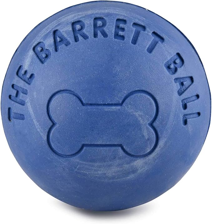 SPOT Ethical Barrett Ball Virtually Indestructible Rubber Ball | Medium Dog Toy