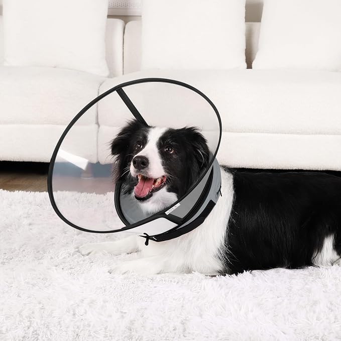 Sponge Core Dog Cone, Inflatable Dog Cone Collar Alternative, Dogs Donut Collar After Surgery, Soft Cone for Large Medium Small Dogs to Stop Licking, No Inflation Required, Clear View(Size 1, Gray)