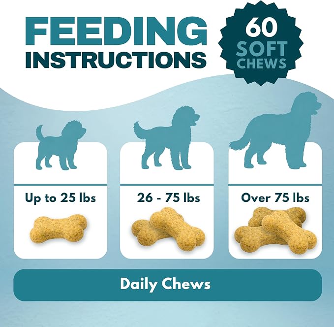 DOOD WOOF Dog Allergy Chews - Itch Relief for Doodles - Vet Formulated - 60 Count Soft Chew Supplement - Skin and Seasonal Allergy Support