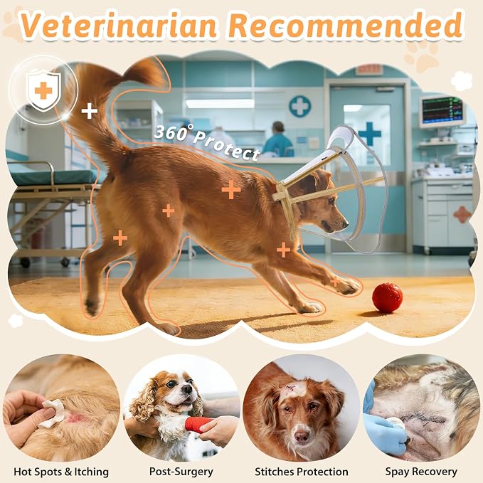 Dog Cone Collar, Clear Recovery Cone to Stop Licking, Adjustable Depth for Large Dogs, E-Collar with Reflective Strip for Night Visibility After Neuter XL