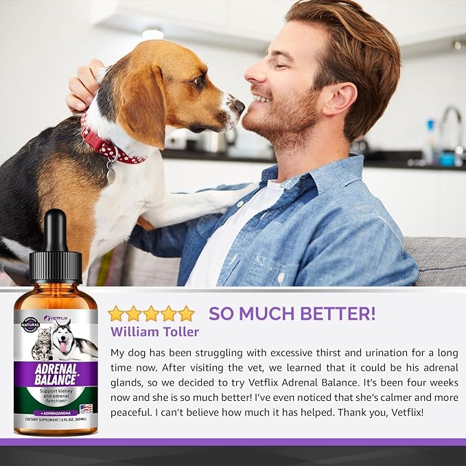Adrenal Support Liquid Supplement for Dogs, Cats, Puppies & Kittens, 2 Oz | Cushing's and Kidney Support, Natural Endocrine Health Formula