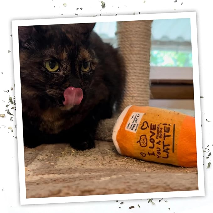 Meowijuana Refillable Cat Toys | Get Spooked Bundle - Scarecrow, Pumpkin, Pumpkin Spice Latte Catnip Toys | Includes Potent Hand Harvested Catnip Grown in North America | Promotes Play