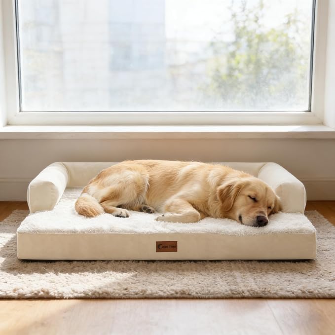 Orthopedic Dog Beds for Large Medium Sized Dogs, Waterproof Egg Crate Foam Large Dog Couch Beds with Comfy Bolster 36x27Inch, Washable Pet Beds with Removable Cover, Beige