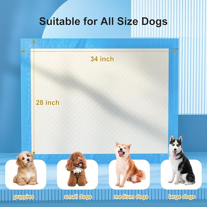 Gardner Pet Pee Pads for Dogs (Green+Blue)