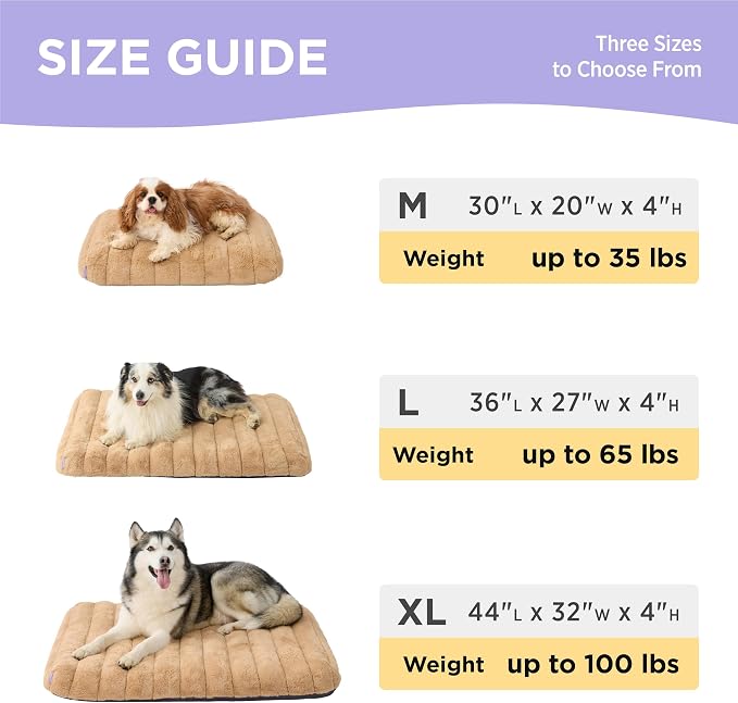 LE SURE Cute Orthopedic Dog Bed Large Sized Dog, Waterproof Chic Flat Pet Beds with Removable Washable Cover, Fuzzy Thick Egg Crate Foam Pet Mat for Indoor Use (36" x 27", Beige)