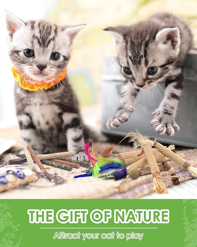 TINDTOP Silvervine Chew Sticks for Cats, 12 Pack Natural Catnip Chew Toys for Kittens Teeth Cleaning, Matatabi Dental Care, Increase Appetite, Calm Cat Anxiety and Stress, Cat Dental Toy | for Kittens Teeth Cleaning, Matatabi Dental Care, Increase Appe...