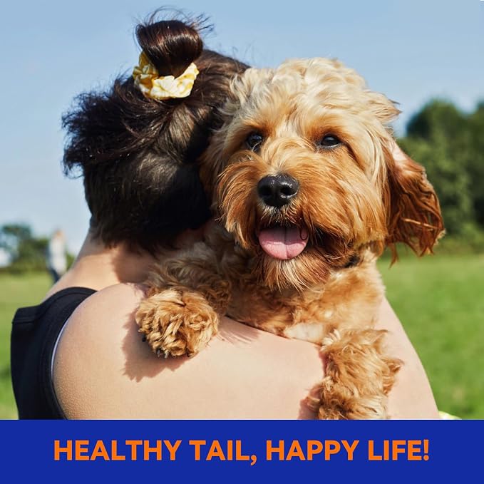 Flea & Tick Collar for Dogs, Vet-Recommended Flea & Tick Treatment & Prevention Collar for Dogs, 1 Count, 15"