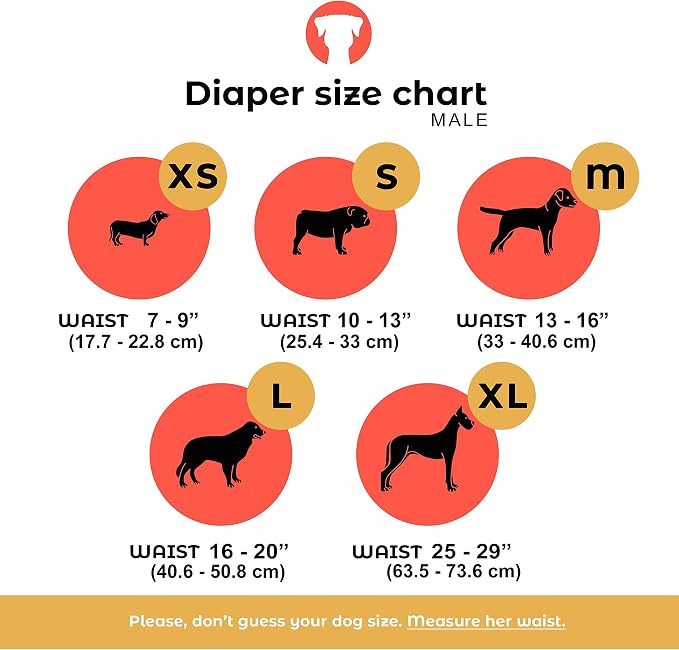 PETTING IS CARING Male Dog Wraps Washable & Reusable Belly Band Diapers Materials Durable Machine Washable Doggie Pee Puppy Pads Diaper Trainer Potty - 3 Pack Set