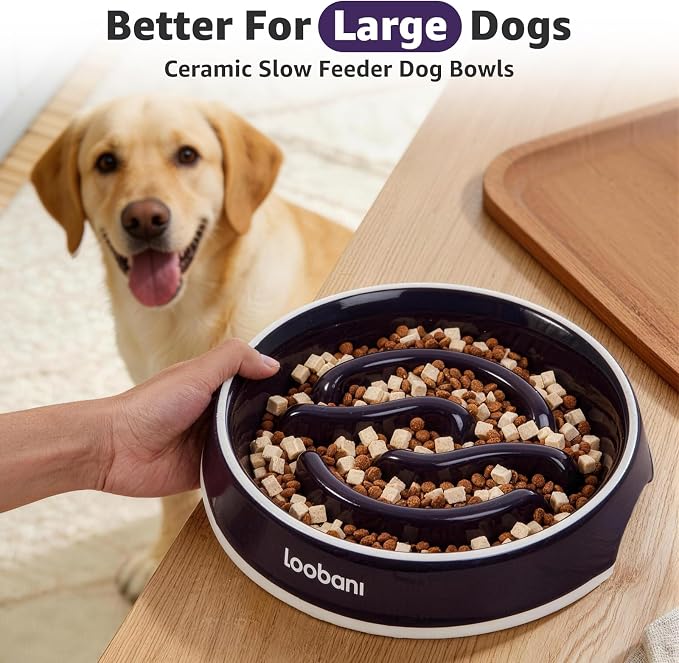 LOOBANI Slow Feeder Dog Bowls - 3.5 Cups Ceramic Slow Feeder Dog Bowls for Large Dogs, Slow Feeding Easy-Grip Handles, Perfect for Fast Eaters Goldens, Labradors & Huskies (L, Purple)