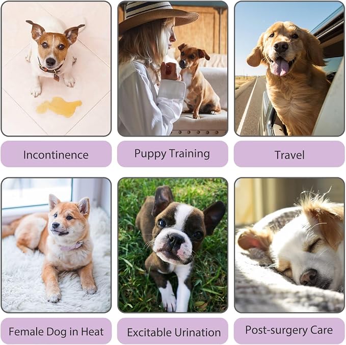 Paw Legend Washable Reusable Female Dog Period Diapers for Heat Doggie Puppy Diapers for Female Dogs (3 Pack, Small)