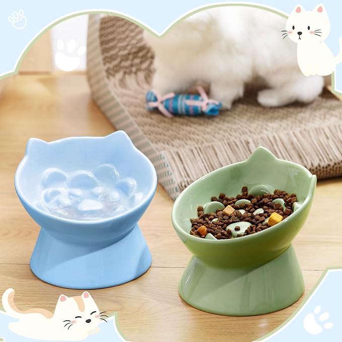 Funnymoom 2 Pcs Ceramic Raised Slow Feeder Cat Bowl, 5.91inch Elevated Cat Slow Feeder Bowl Tilted Anti Vomiting for Dry Wet Food and Water Easy to Clean High Edge(Green, Blue)