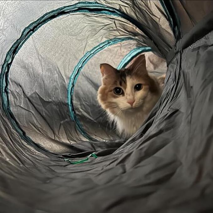 Bemodst Cat Tunnel for Indoor Cats, 5 Way Cat Tubes and Tunnels Collapsible S-Shape Small Animal Tubes Kitty Tunnels Interactive Maze Cat Toy for Kitten Rabbit Ferret - 5 Way