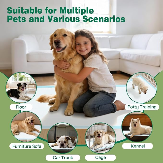 Pee Pads for Dogs ,Disposable Dog Traning Pads Leak-Proof Dog Pee Pads Extra Large,Quick-Drying Absorbent Wee Wee Pad for Dogs Puppy Pad XXL 31"x36" ,100 Count