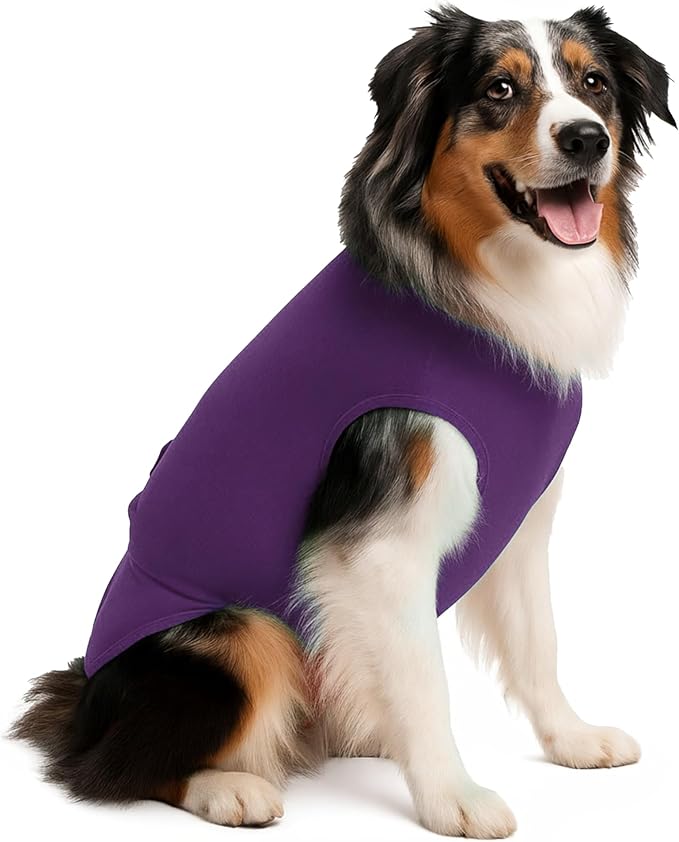 SurgiSnuggly Disposable Dog Diapers Female or Male Dogs, Great Cover for Female Dog Diapers for Heat Cycle and Better Than Dog Suspenders- Wrap Around Legs for Superior Fit S Plum