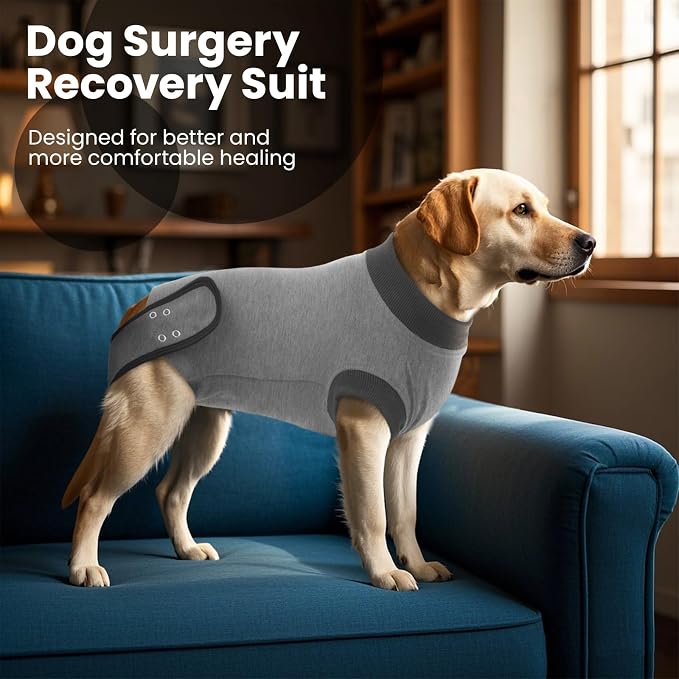 IDOMIK Dog Recovery Suit for Female Spay - Adjustable Anti-Licking Dog Post Surgery Onesie, Male Female Dog Neuter Spay Suits, Soft Abdominal Wound Bandage & E-Collar Cone Alternative