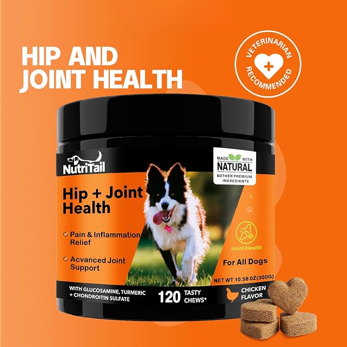 Hip & Joint Health Soft Chews for Dogs – Glucosamine, Turmeric, Omega-3 & Chondroitin – Natural Joint Supplement for Mobility, Pain & Inflammation Relief – Chicken Flavor, 120 Soft Chews