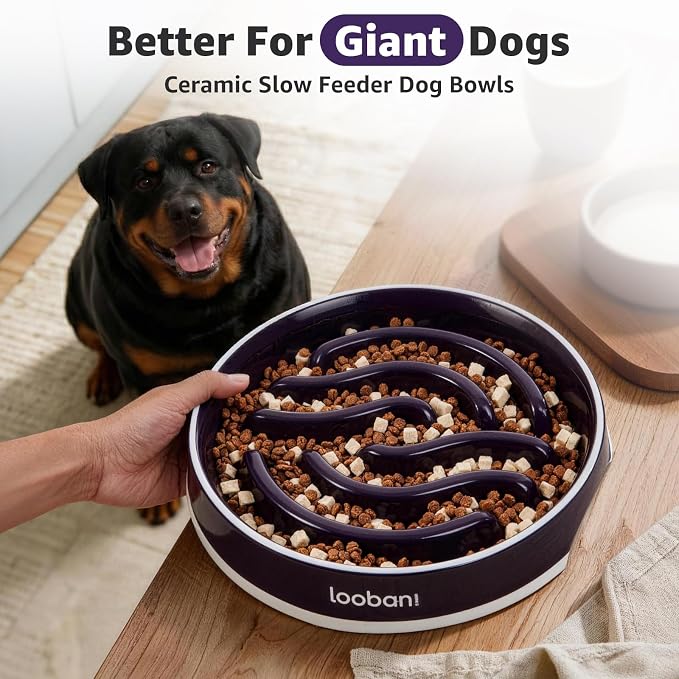 LOOBANI Ceramic Slow Feeder Dog Bowls - 4.5 Cups Slow Feeder Dog Bowls for Large Giant Dogs, Slow Feeding Easy-Grip Handles, Perfect for Fast Eaters Saint Bernards & Mastiffs (XL, Purple)