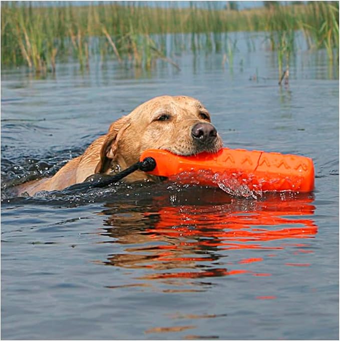 Avery ASD 3" HexaBumper Hunting Sporting Gun Dog Game Retriever Dummy | Water & Upland Mark Training Retrieval Tool | Hexagonal, Floating Design, Easy-Grip Texture, Throw Rope, Orange (02733)