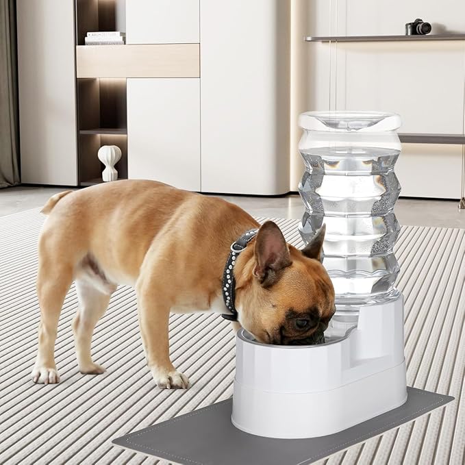 RIZZARI 9L Elevated Stainless Steel Dog Water Dispenser – Gravity Auto-Refill Pet Waterer with Filtered Hydration Design, Comfortable Drinking Height for Large & Senior Dogs,Indoor & Outdoor Spaces