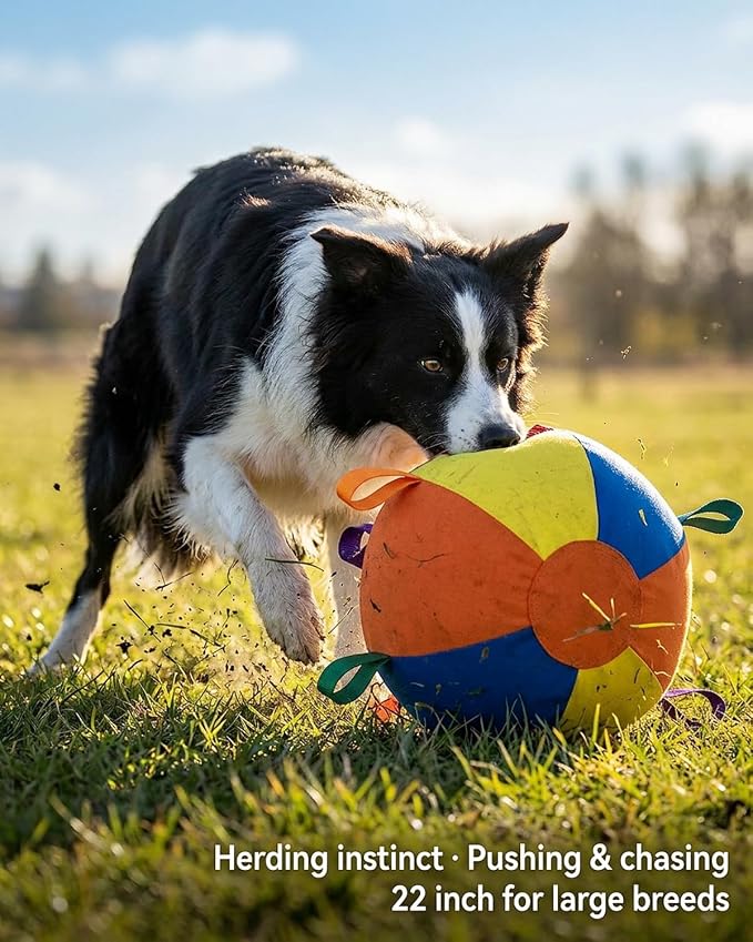 10/18/22" Calming Jumbo Ball for Dogs Durable Tear-Resistant Inflatable Big Ball Tough Herding for Play Exercise Toy with Heavy-Duty Handle Cover & Pump Fun Doggy Herding Dog Giant Tennis(A,10in)
