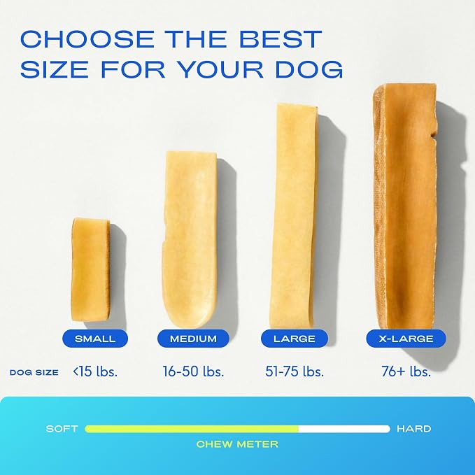 Native Pet Beef Bone Broth for Dogs (9.5 oz) & Yak Chews for Dogs (3 Medium Chews) - Food Topper for Picky Eaters and All Natural Dental Sticks Made with Yak Cheese for Aggressive Chewers
