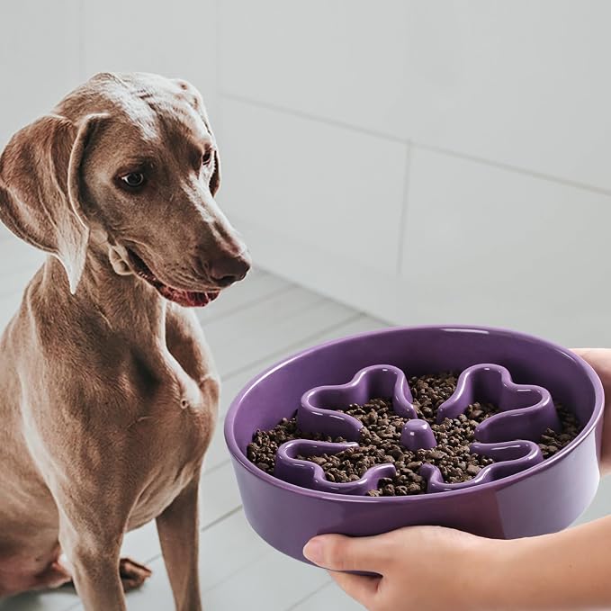 Slow Feeder,Ceramic-Slow Feeder Dog Bowls Elevated for Medium and Large Breed,3 Cups Slow Feed Dog Bowl with Stand,Purple