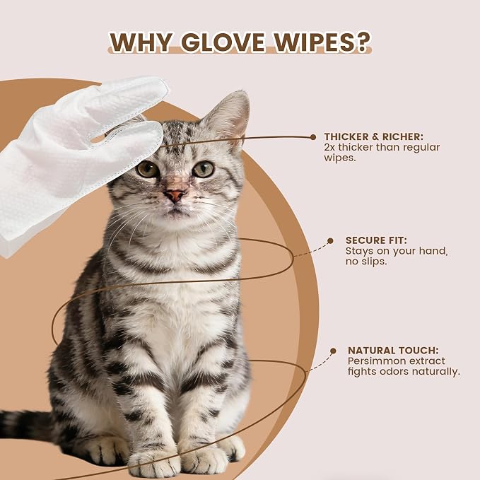IMMHABI 100 Count Cleaning Deodorizing Pet Glove Wipes for Dogs & Cats, Hypoallergenic Dog Bath Wipes with Natural Deodorizer Persimmon Tannin, Pet Bathing Wipes for Horse Coat Care Coconut Scent