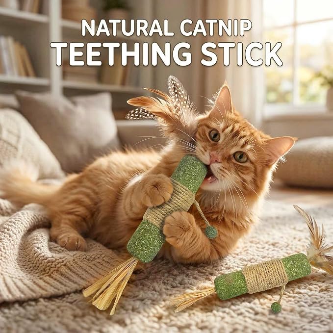 3 Pack Large Catnip Sticks with Feathers & Raffia, Interactive Cat Toys for Teeth Cleaning, Fresh Breath,Edible Cat Chew Sticks