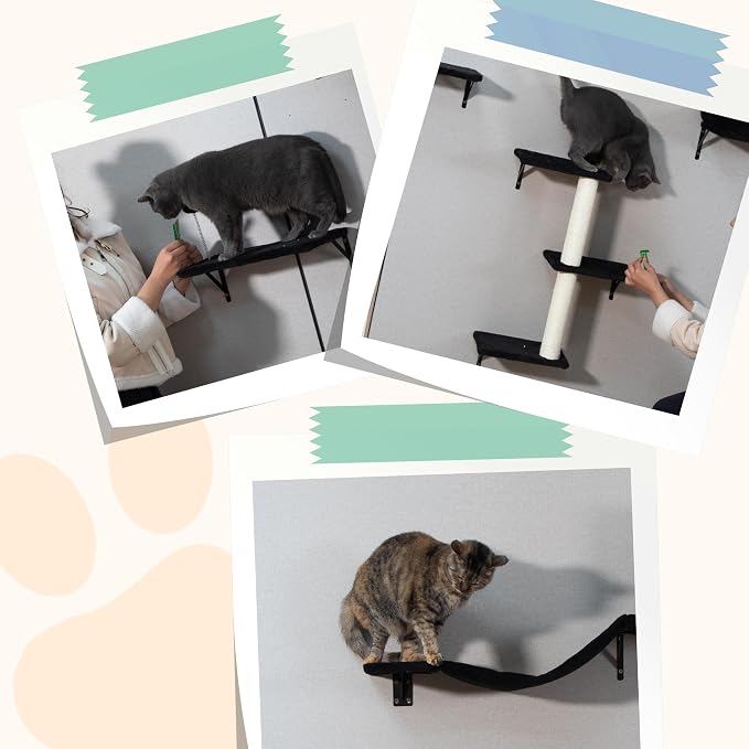 COZIWOW 5-Piece Cat Tree Set with Wall Mounted Cat Shelves, Cat Scratching Post & Cat Wall Furniture, Multi-Functional Indoor Cat Jungle Gym, Essential for Cat Room, Suitable for Large Cats (Black)