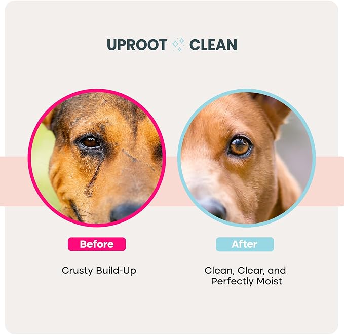 Uproot Clean Glove Wipes Pro & Eye Care Set: Extra-Thick Dog Wipes for Paws and Butt for Full-Body Cleaning (20 Pack) + Hypoallergenic Eye Pads as a Gentle cat & Dog Tear Stain Remover