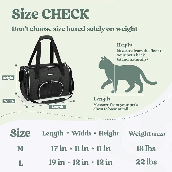rabbitgoo Cat Carrier Soft Sided, Stable Portable Pet Carrier with Safety Buckles for Car Travel Vet Visit Airline, Comfortable Breathable Kitten Bag for Small Medium Large Cat, Black, 19x12x12 inch