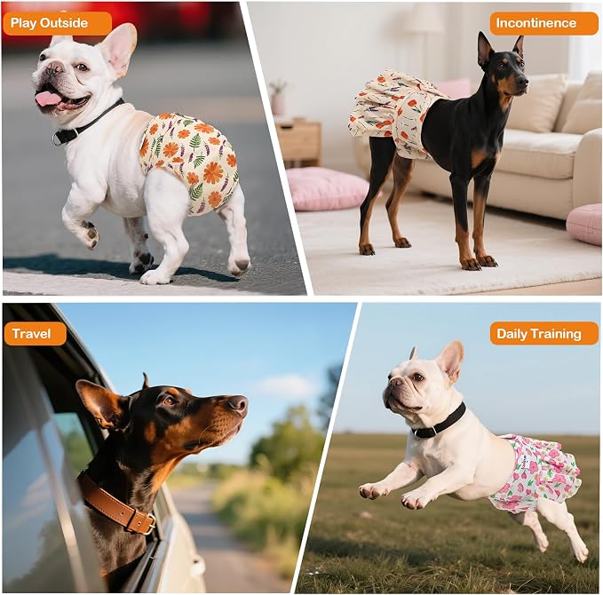 Female Dog Diapers Reusable No Tail Hole Period Panties Washable Diapers Female for Docked-Tail Frenchie French Bulldog Boston Terrier Without Tail (2 Pack Regular+2 Pack Skirts) U-WWDQB05L