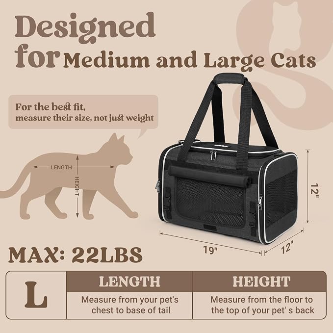 rabbitgoo Cat Carrier Soft, Pet Bag with Rollable Flap for Anxious Kittens, Travel Safe for Car Airline, Collapsible Portable Carrying for Medium to Large Cats, Black, 19" L x 12" W x 12" H