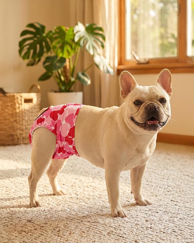 CuteBone Washable Female Dog Diapers 4 Pack Reusable Doggie Heat Diapers for Period FMG13M
