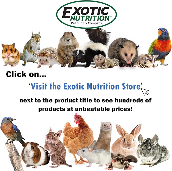 Exotic Nutrition Baby Squirrel Nursing Set (Basic) - Milk Replacer, Feeding Syringes