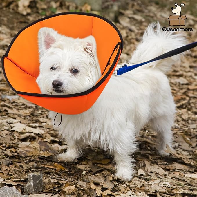 Queenmore Dog Cone Collar, Cone for Dogs to Stop Licking, Dog Cones for Medium Dogs, Adjustable Doggy Recovery Collars & Cones, Elizabethan Collar for Pets After Surgery, Orange M