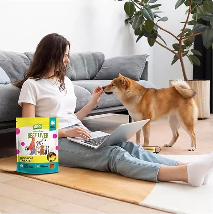 UBite Raw Bits Freeze-Dried Beef Liver Dog + Cat Treats, 17 oz.(Pack of 2)