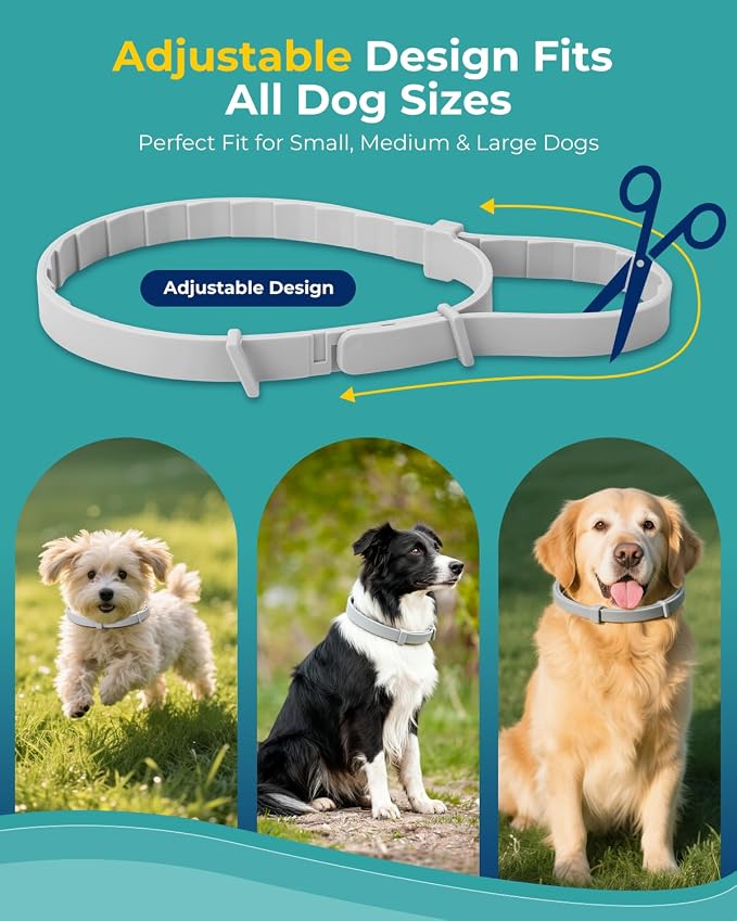 4 Pack Flea Collar for Small Dogs, Tick Collars for Puppy, Small Dog Flea Collar Under 18 lbs, 8 Months Protection