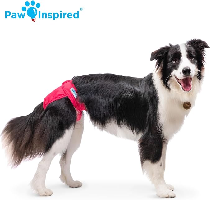 Paw Inspired Washable Reusable Dog Diapers Female, Cloth Dog Diapers, Dogs in Heat, Dog Incontinence (Assorted (White Lining), Large (2 Ct.))