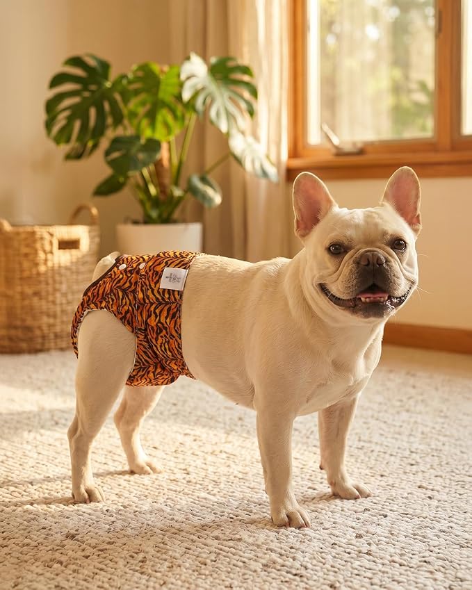 CuteBone Washable Female Dog Diapers 4 Pack Reusable Doggie Heat Diapers for Period FMG11XL