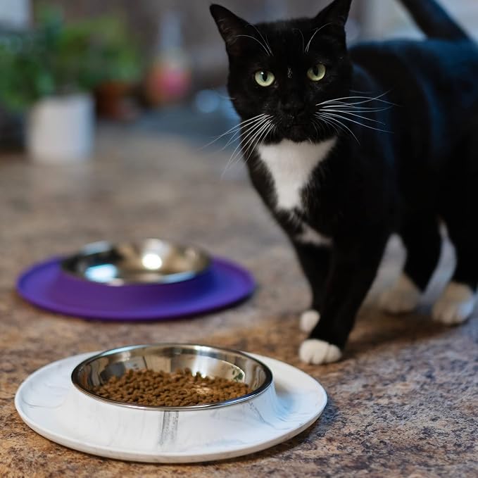Messy Cats Single Silicone Feeder with Stainless Saucer Shaped Bowl | Anti-Slip Non-Skid Cat Food Bowl | One Cat Bowl in Feeding/Water Station | 1.75 Cups (Purple)