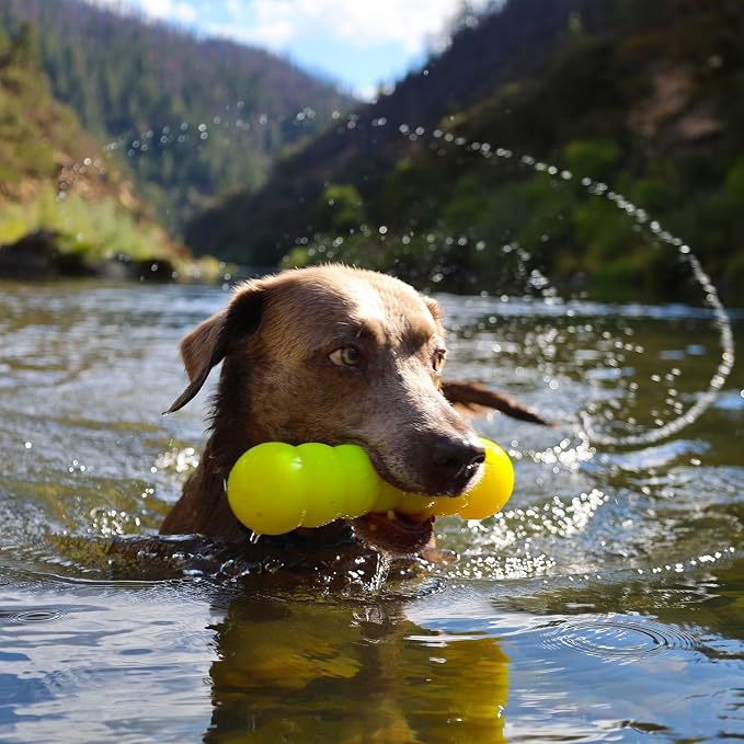 Ruff Dawg Indestructible Dawg-Buster Medium - 1pc Color Varies – Heavy-Duty Solid Rubber Dog Chew Stick for Dogs Under 40 lbs – Floats & Bounces – Made in USA